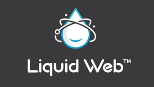 Liquid Web Black Friday